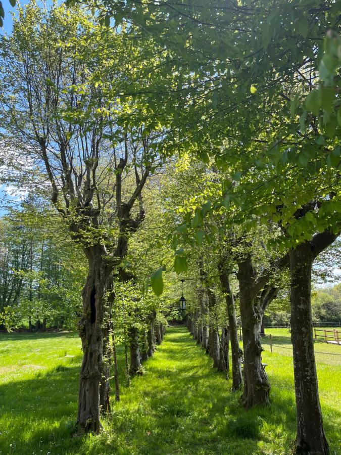 Le Bouquet Bleu Bed And Breakfast Siorac-en-Perigord Bagian luar foto